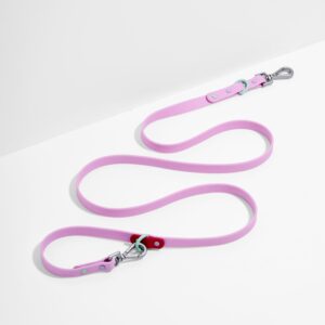 Waterproof Dog Leash - Image 1