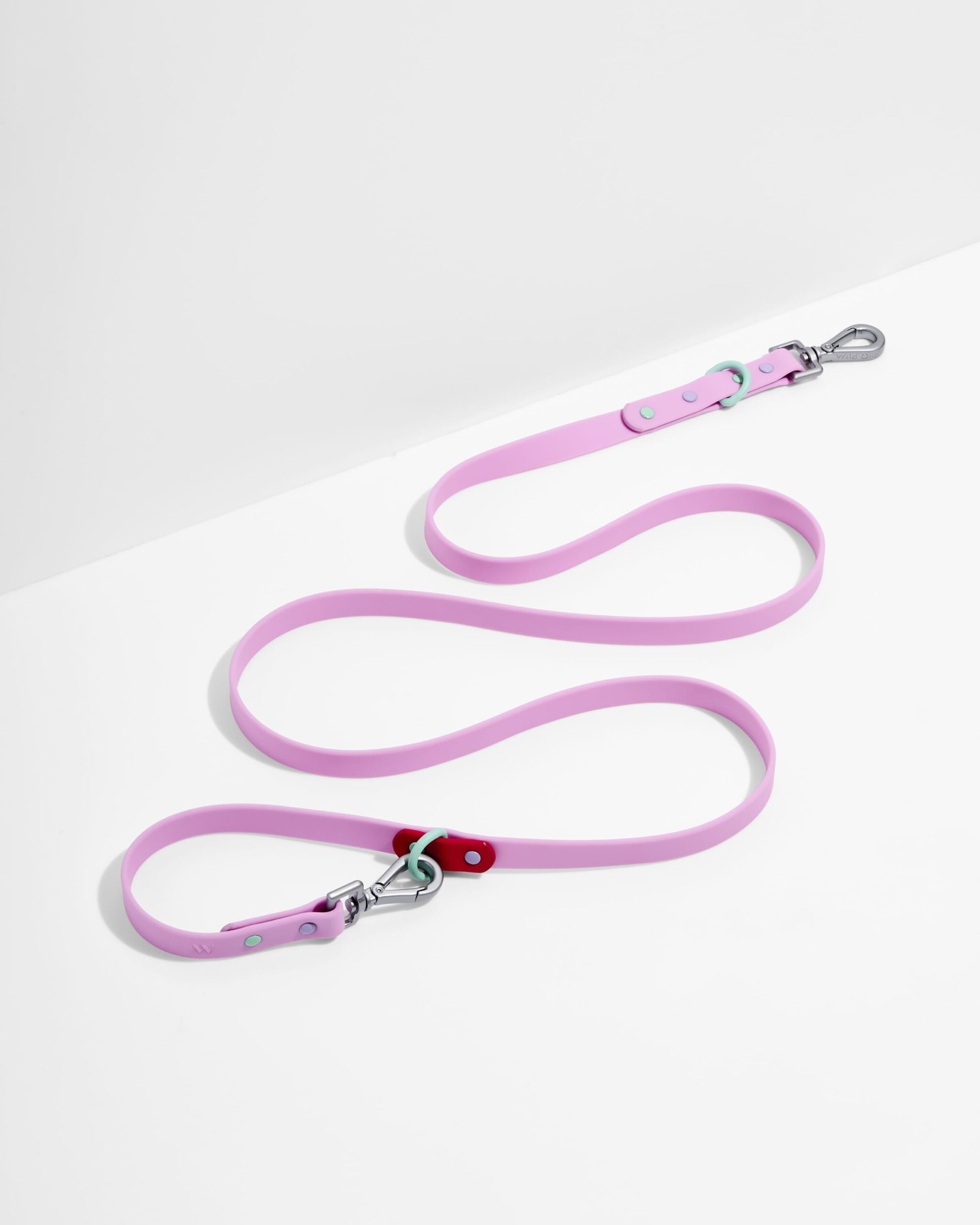 Waterproof Dog Leash - Image 1