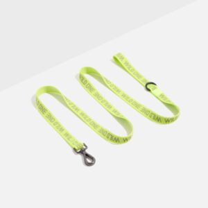 Lightweight Dog Leash - Image 1