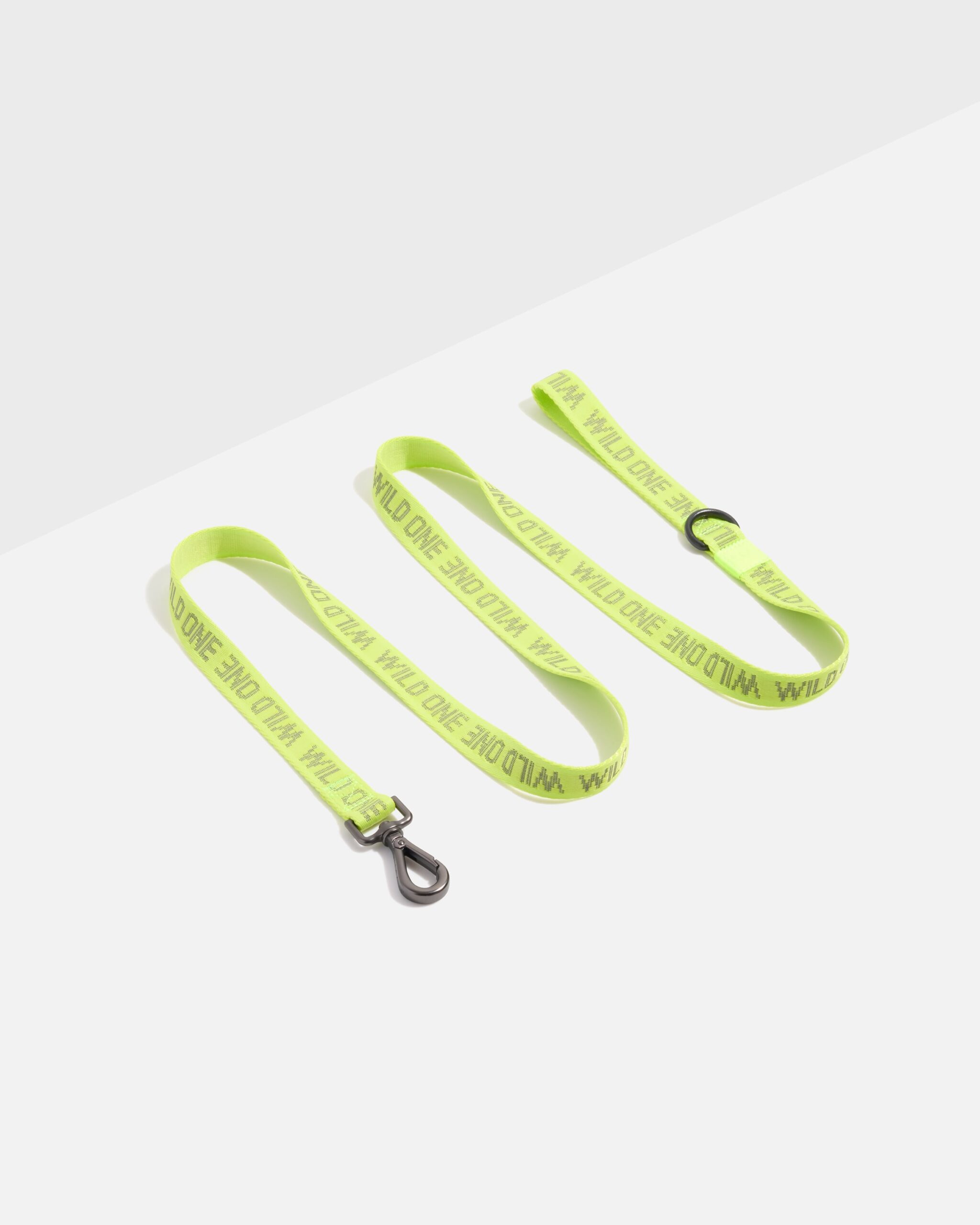 Lightweight Dog Leash - Image 1