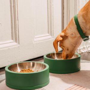 Dog Bowl - Image 4