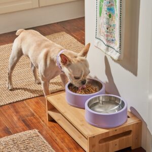 Dog Bowl - Image 8