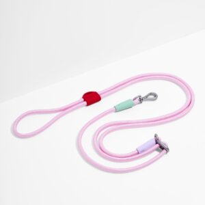 Hands-Free Rope Dog Leash - Image 5