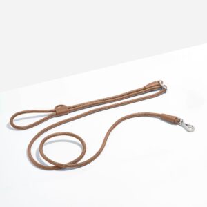Hands-Free Rope Dog Leash - Image 1