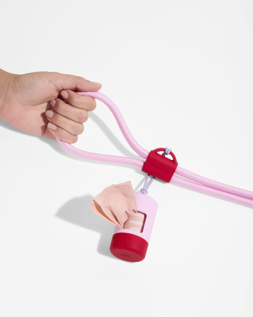 Quick-Release Collar + Hands-Free Rope Leash Walk Kit