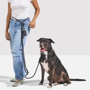 Waterproof Collar + Hands-Free Rope Leash Walk Kit - Image 4