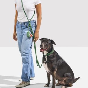 Waterproof Collar + Hands-Free Rope Leash Walk Kit - Image 6