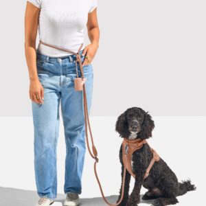 Hands-Free Rope Dog Leash - Image 2