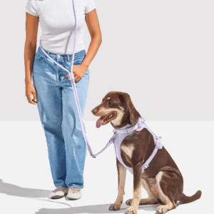 Cushioned Harness + Hands-Free Rope Leash Walk Kit - Image 4