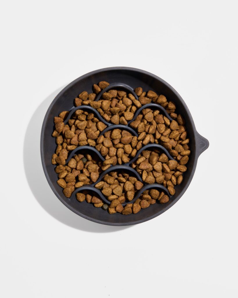 Dog Slow Feeder