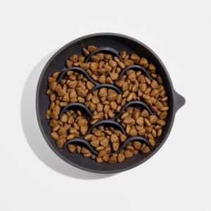 Dog Slow Feeder - Image 4