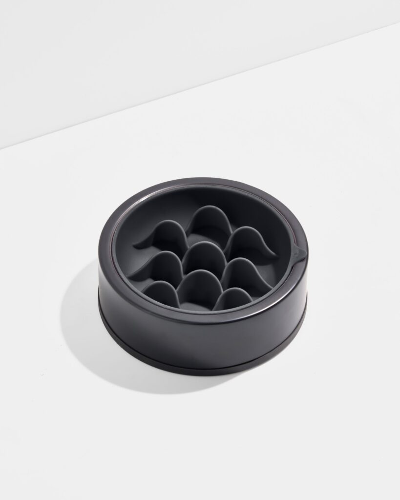 Dog Slow Feeder