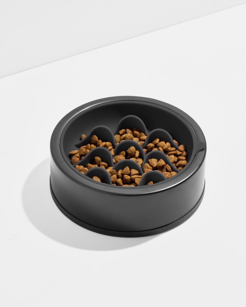 Dog Slow Feeder