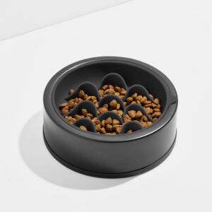 Dog Slow Feeder - Image 6