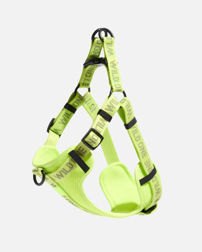 Step-In Dog Harness