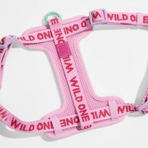 Step-In Harness + Lightweight Leash Walk Kit - Image 3