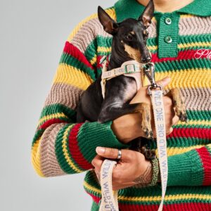 Lightweight Dog Leash - Image 8