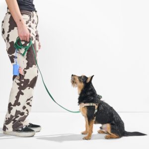 Step-In Harness + Waterproof Leash Walk Kit - Image 6