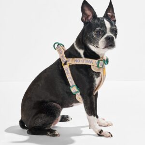 Step-In Dog Harness - Image 4