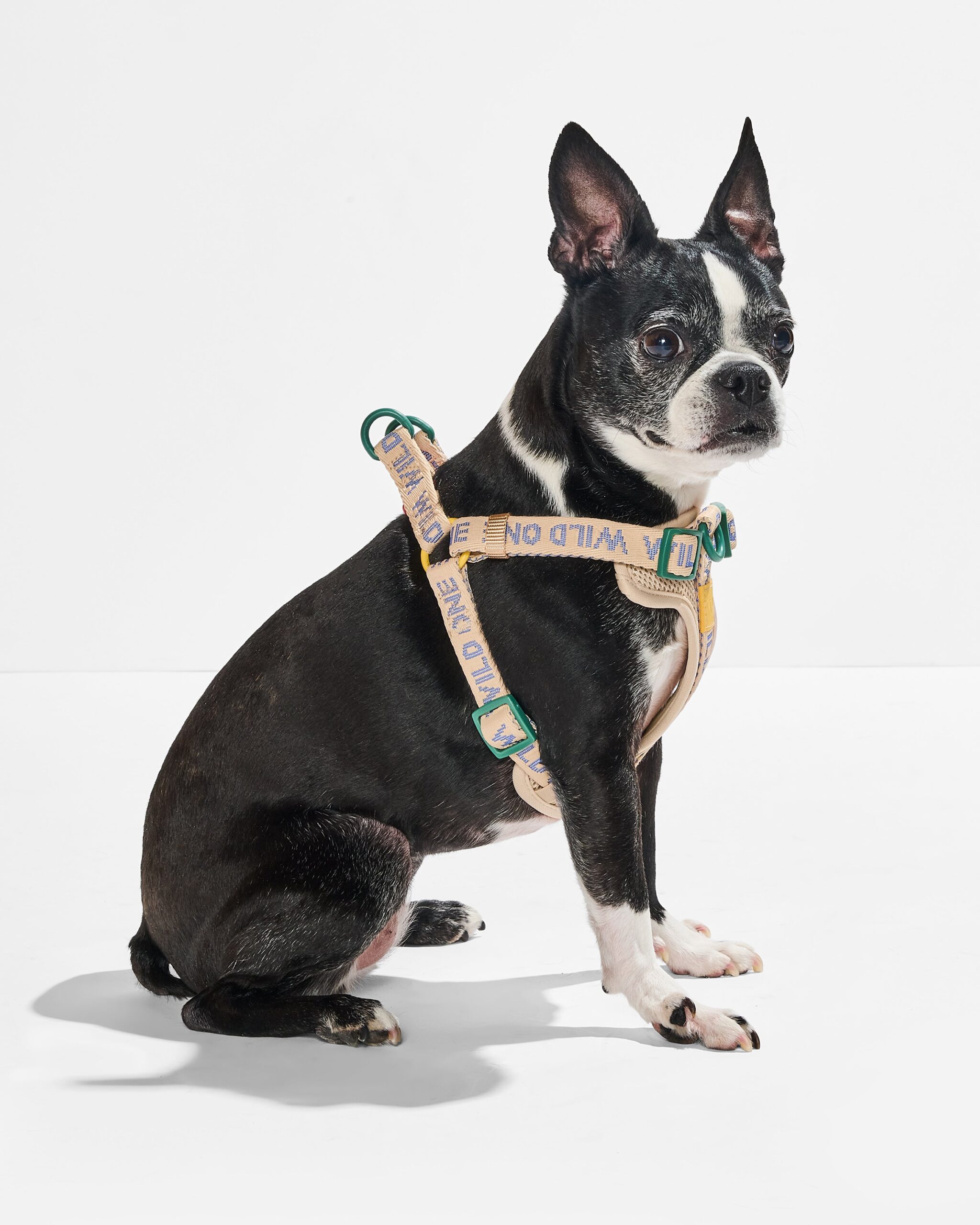 Step-In Dog Harness - Image 4