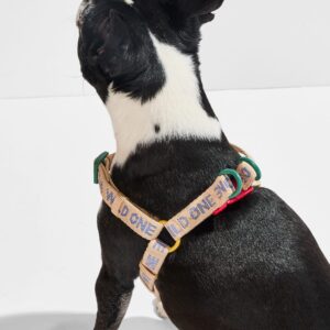Step-In Dog Harness - Image 7