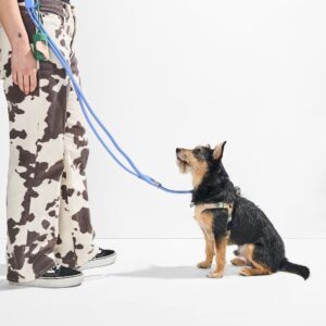 Step-In Harness + Hands-Free Rope Leash Walk Kit - Image 5
