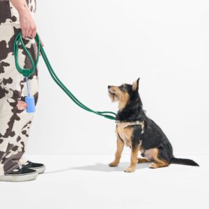 Step-In Harness + Hands-Free Rope Leash Walk Kit - Image 6