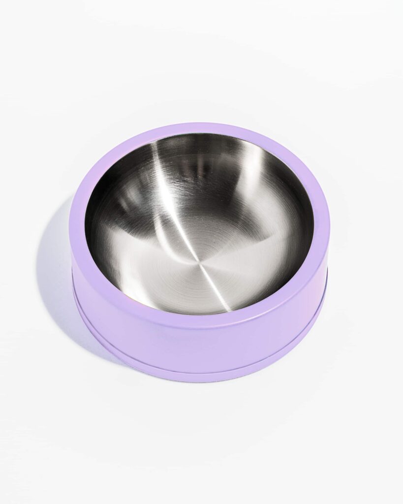 Dog Bowl