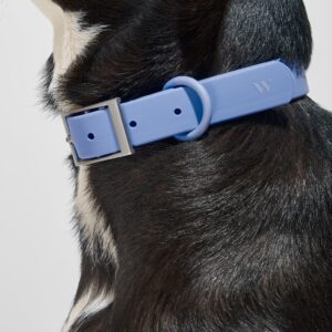 Waterproof Dog Collar - Image 8