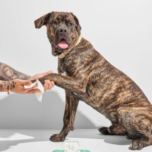 Dog Grooming Wipes - Image 3