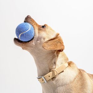 Tennis Balls 4-Pack - Image 2