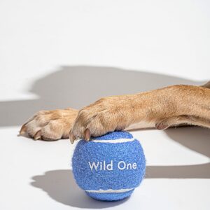 Tennis Balls 4-Pack - Image 5