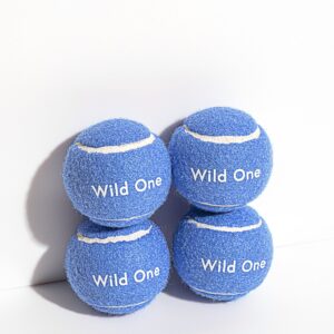 Tennis Balls 4-Pack - Image 1