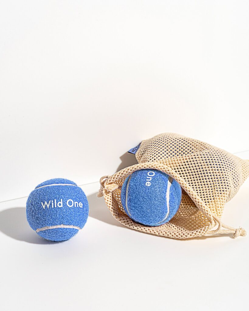 Tennis Balls 4-Pack