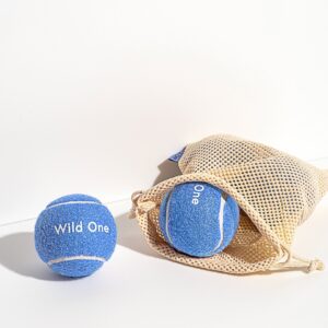 Tennis Balls 4-Pack - Image 4