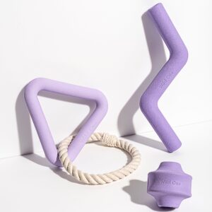 Dog Toy Kit - Image 1