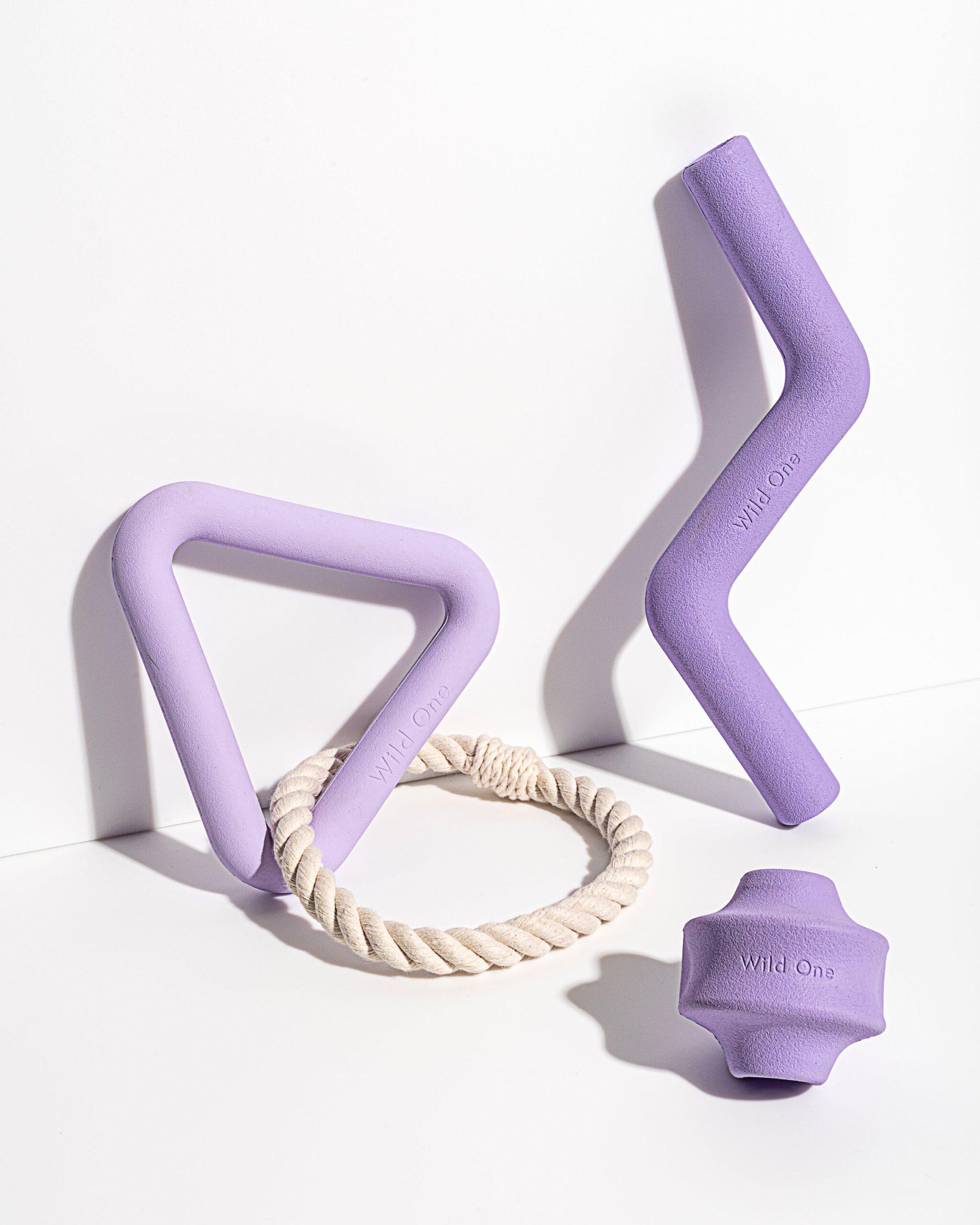 Dog Toy Kit - Image 1