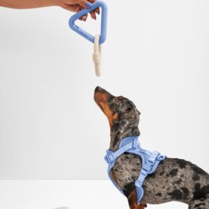 Dog Toy Kit - Image 7
