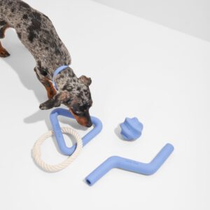 Dog Toy Kit - Image 3