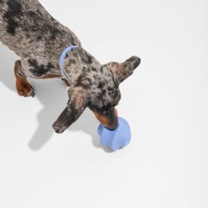 Twist Toss - Image 2