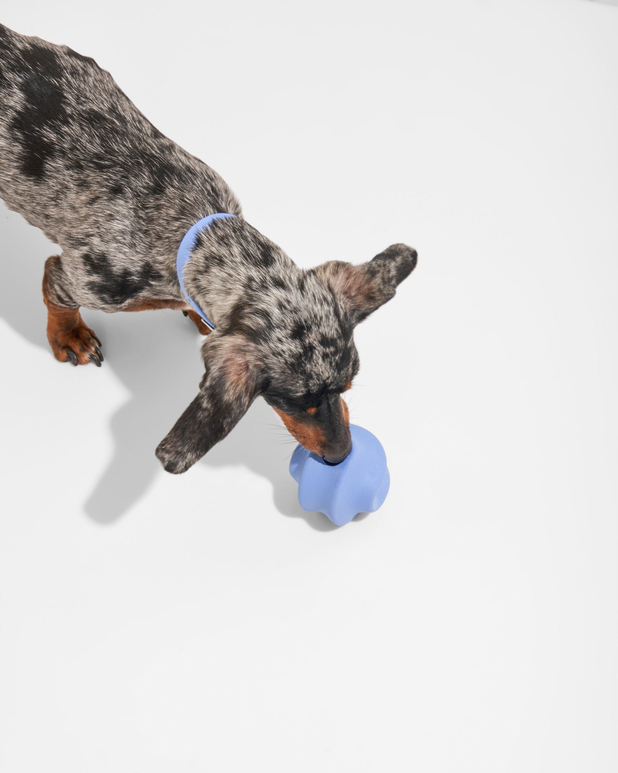 Twist Toss - Image 2