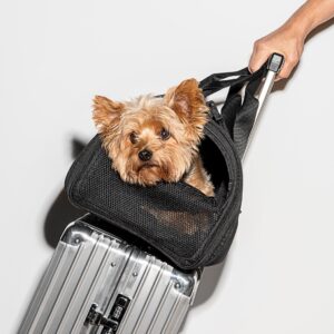 Travel Carrier - Image 5