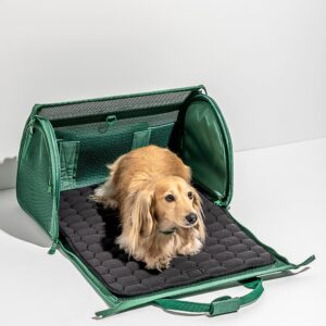 Travel Carrier - Image 3