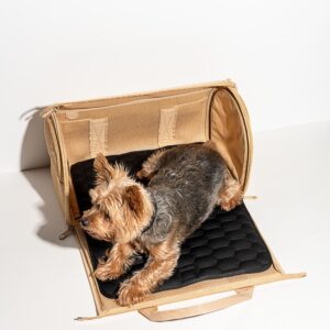 Travel Carrier - Image 4