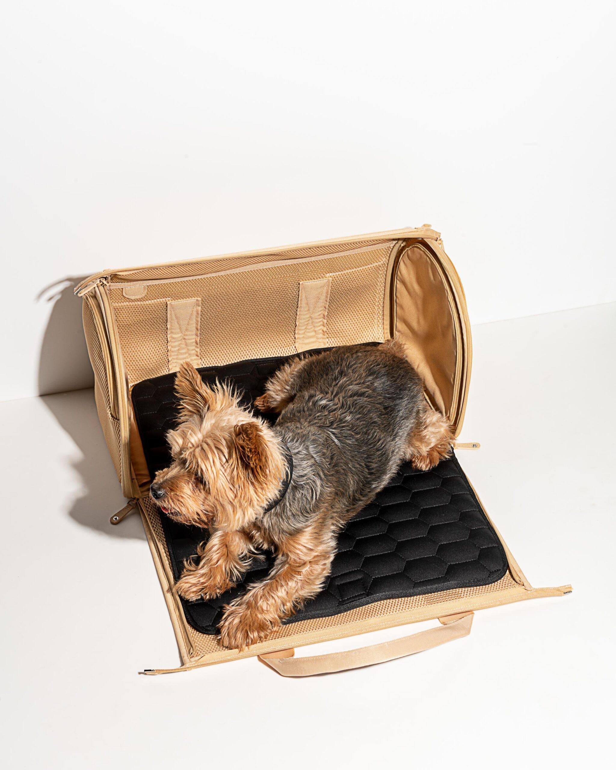 Travel Carrier - Image 4
