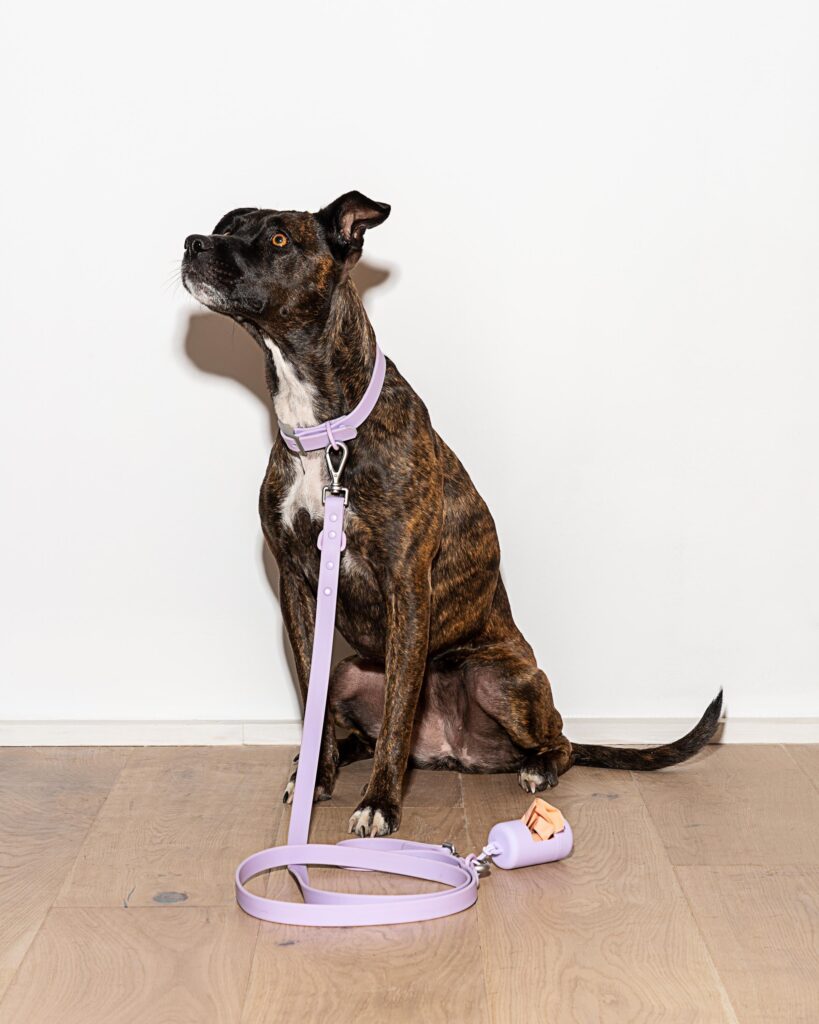 Waterproof Dog Leash