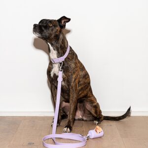 Waterproof Dog Leash - Image 6