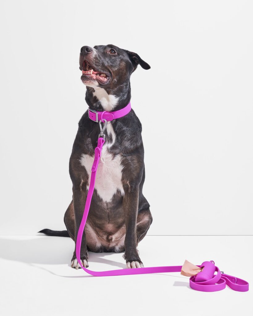 Waterproof Collar + Waterproof Leash Walk Kit