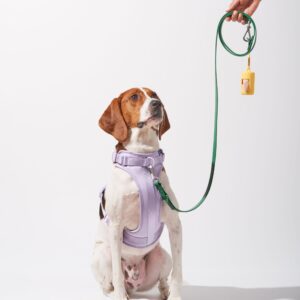 Cushioned Harness + Waterproof Leash Walk Kit - Image 5