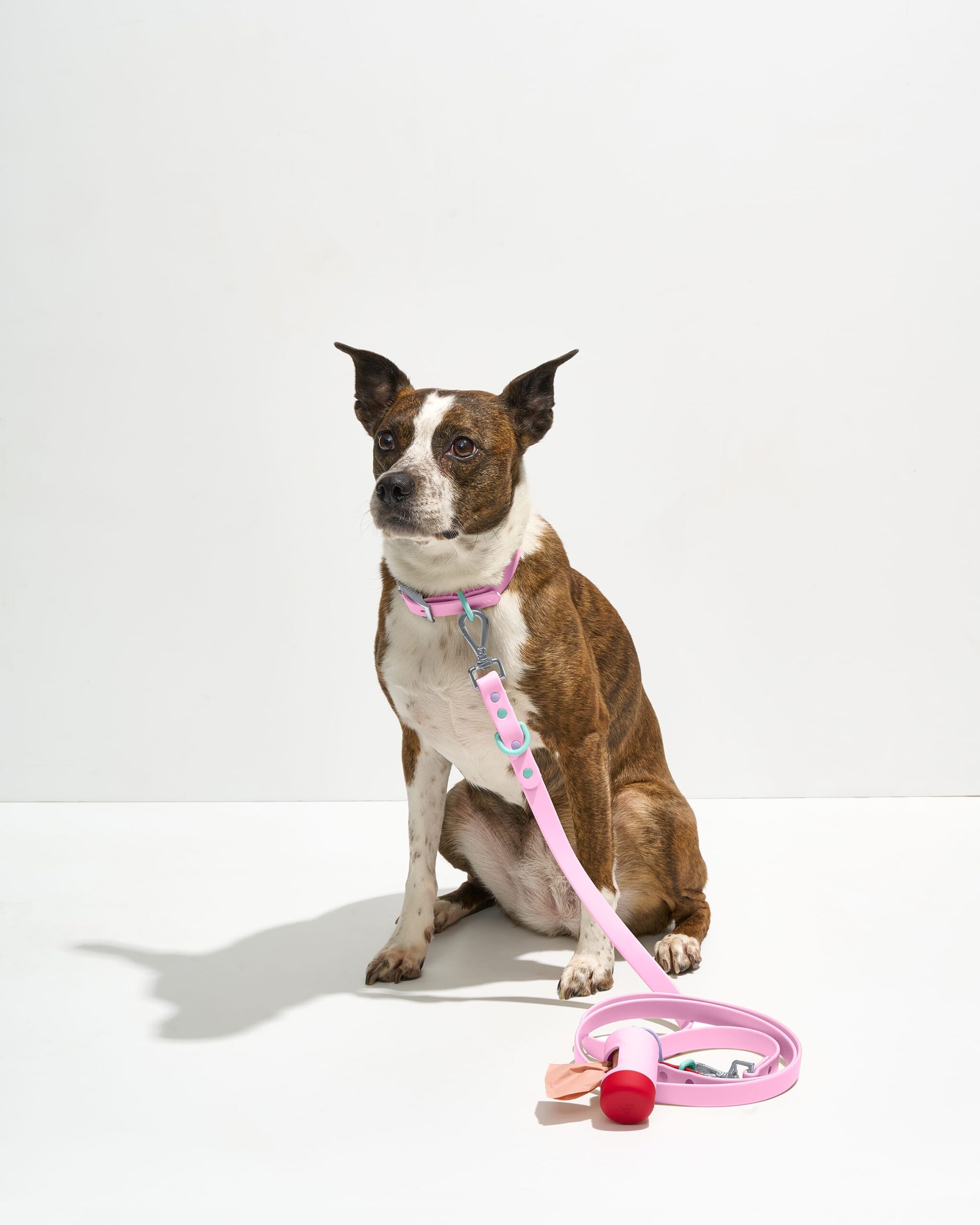 Waterproof Collar + Waterproof Leash Walk Kit - Image 1